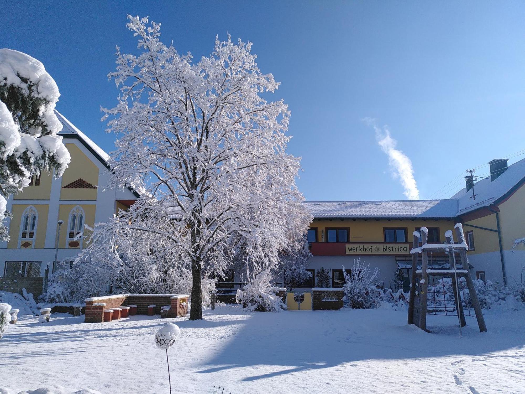 Werkhof Bistrica Apartment Bagian luar foto